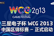 WCG2013йʽ صɶ