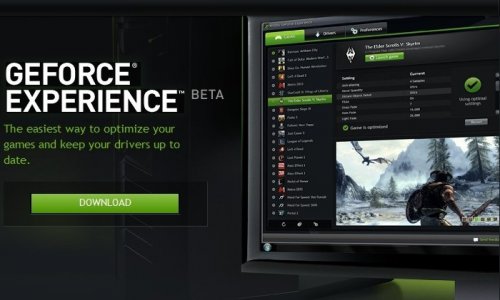 NvidiaƳϷ ϷŻɸ㶨