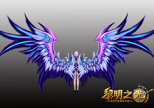 色彩斑斓的羽毛翅膀