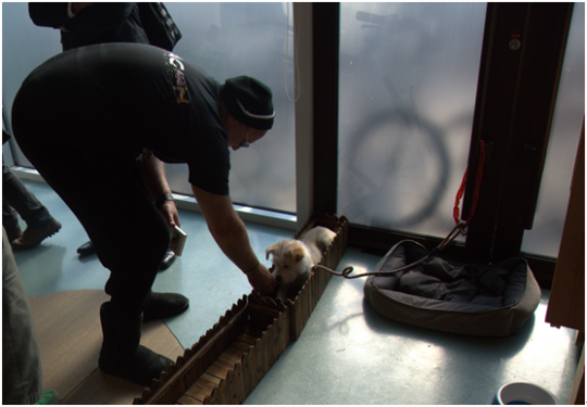 ͯȤİά·ιʳСԱ˹