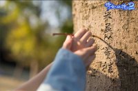  �����鵽Ũʱ���춨�°���֮Լ�������Ͽ��°���ŵ��