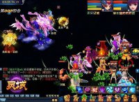 ���˿��������