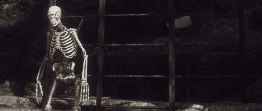 《上古卷轴5》艺术截图