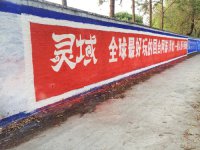 һҹ��ȫ�����ط�����Ԯ