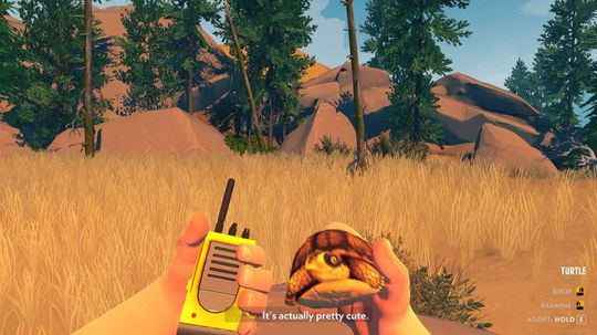 turtle-firewatch