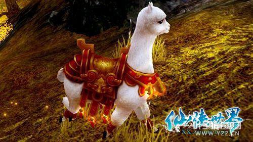 ���������硷�������װ���е�λ��