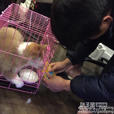 ��磺����ǿ���ҵ��з�˿�����