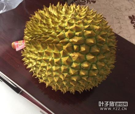 ������Ϊ������������������ ������S�̵�