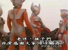 �⼸������������̫���� ���һ������ʬ