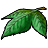 Icon-֮Ҷ.png