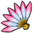 Icon-.png