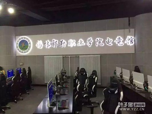 �羺��ʽ����985��211��Уרҵ ѧ�Ѿ�Ȼ��˸ߣ�