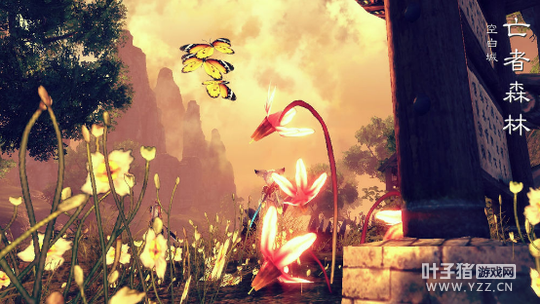 ���ʺ��������ǵ������̵� ��������������Ѱ�Ҵ���