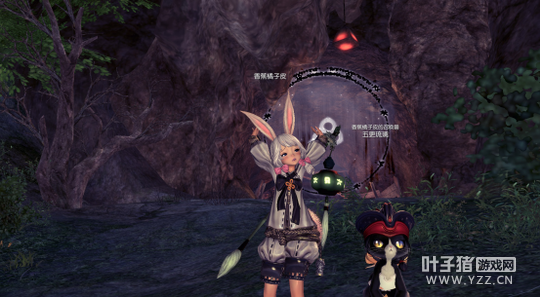 ���ʺ��������ǵ������̵� ��������������Ѱ�Ҵ���