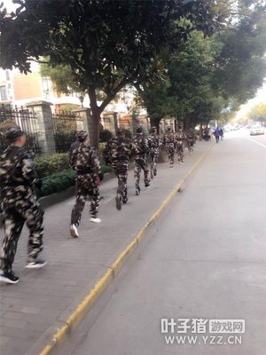 ��YTG��ѵʵ����ǿ����������ְҵѡ�ֵıر�����