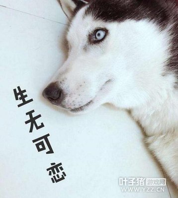 ������ҫ������flagҪ���� �����ܲ�����ǿ���������һ��