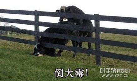 �����Ѷ����˿�¾�575�� ��һ������׬����Ǯ��