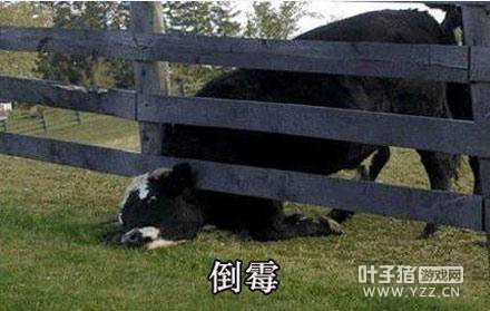 �����Ѷ����˿�¾�575�� ��һ������׬����Ǯ��