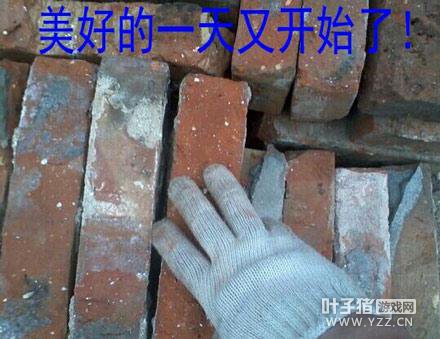 �����Ѷ����˿�¾�575�� ��һ������׬����Ǯ��