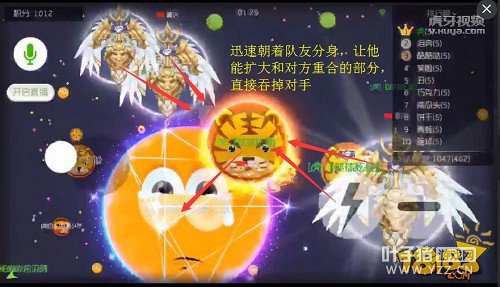 ���򶥼����ɣ�ѧ�������Ҳ���Դ�ְҵ