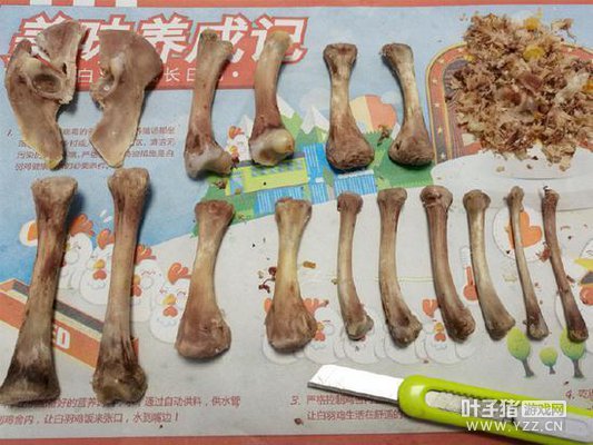 ��������LOL ���㽶�������ȷ� ������������Ϸ