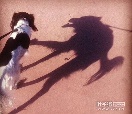 �����Ѷ������Ů���������������˸ж�����