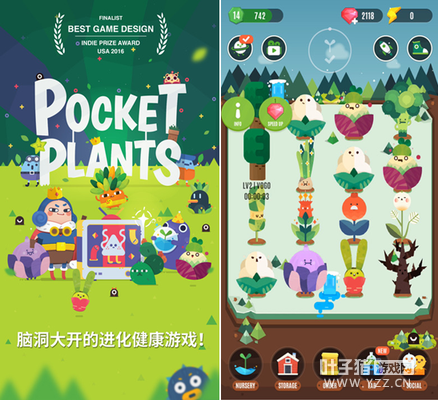 ����Σ���ů����������ɫ��