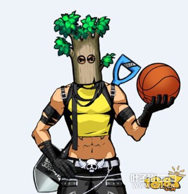 ��������ֲ�������� ����ֲ��ʱװ�������