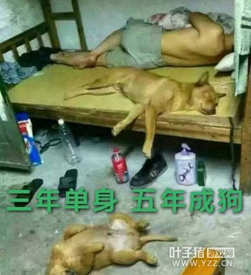 �����Ѷ��11��ǰ�����ع� û�뵽������������