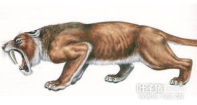 ���ɼ�˼������������ڶ���-ʷǰ��������