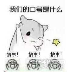 KPL��֧Ů�ӵ��� ����Ů�󡱽������ߣ�