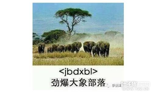 񼾸ͯ���������顷��յ��·� ȴ�������������ŷ�