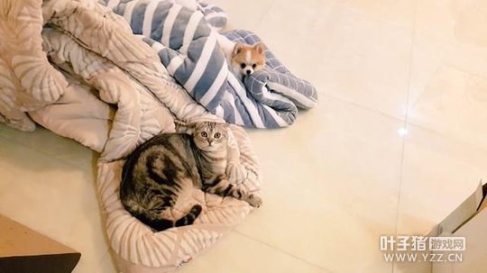 ԭROX��Ա����EDG �油ŭ�⣺����ϲ����ɵ���