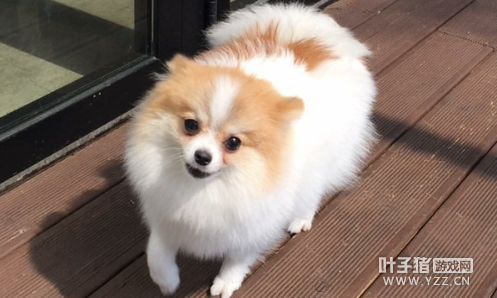 ԭROX��Ա����EDG �油ŭ�⣺����ϲ����ɵ���