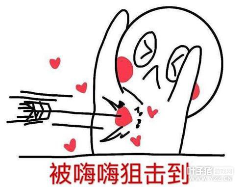 ���ϳ���λרҵ�������� ��������ҫ��˵���̲�ס�ʼ�