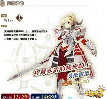 FGOĪ���׵����� ���ܱ���ȫ��λ���