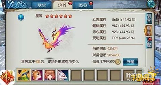 �����������ݷ��� ������������������