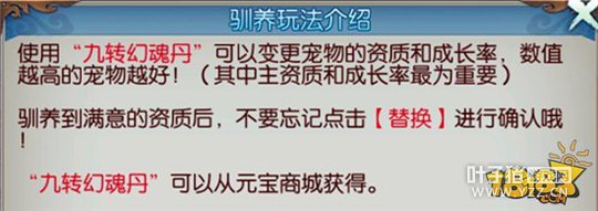 ����������ǿ�������� ��������ѡ����