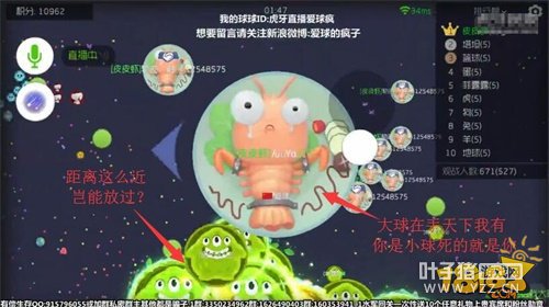 �߶˲���������ֱ�������⿨��ţBը��