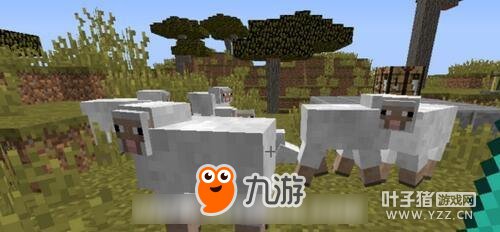 �ҵ�����������ô�� ������ʲô��