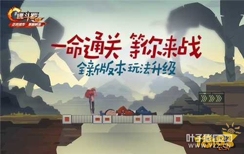 �궷�޹���ȫ�����ս�汾��������