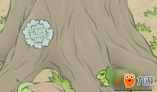 《旅行青蛙》怎么养第二只青蛙?