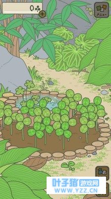 �������ܻ�������ʲô�ã���������ù��Է�