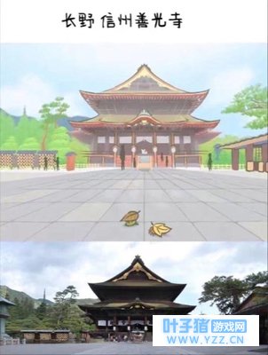 最近大火的“青蛙旅行”游戏,你的青蛙呢?