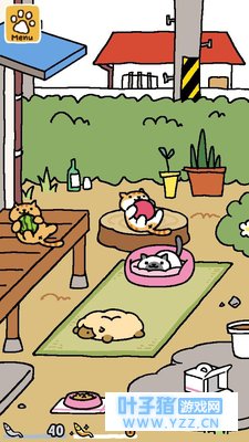 �����������𣿽������Ƿ�ϵ��è��