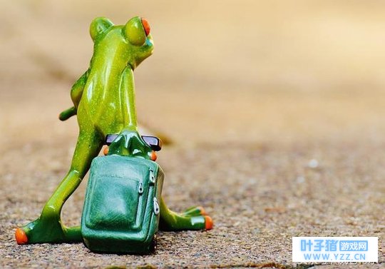 ���ñ�����Ϊ��һֻ���������ܡ�����ʵ����