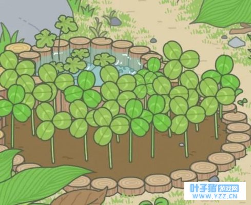 旅行青蛙现实原型是什么青蛙 最可能的真身