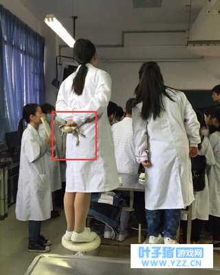 ��������������ܵĶ��ף�����֪��Ϊʲô��