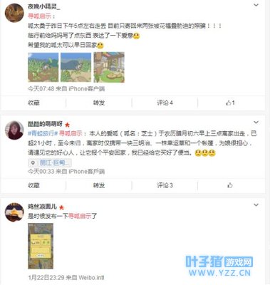 旅行青蛙:这只佛系呱火了,原来它爹是恋与