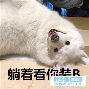 ���˷���ȴ�Ų�����ʲô���飿��ĺ�����